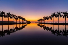 Reflection