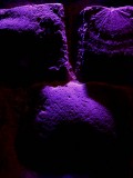 The-Wall